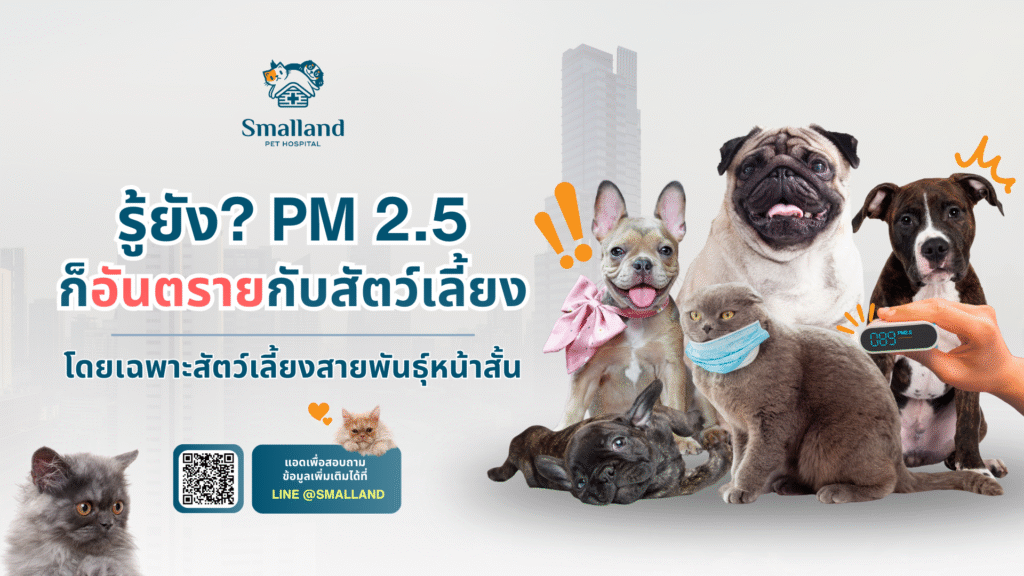 cover web PM 2.5