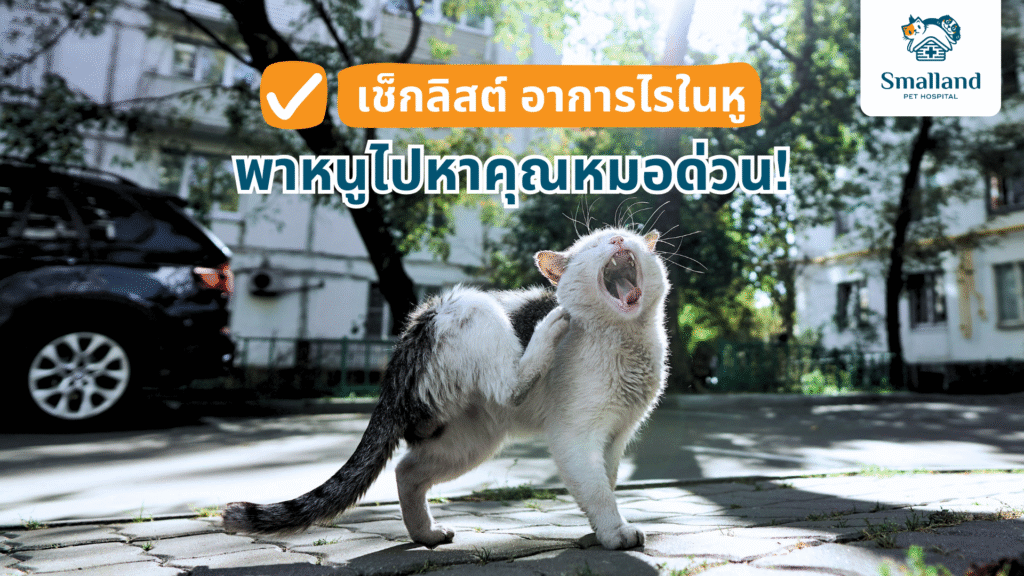 เช็กลิสต์ อาการไรในหู