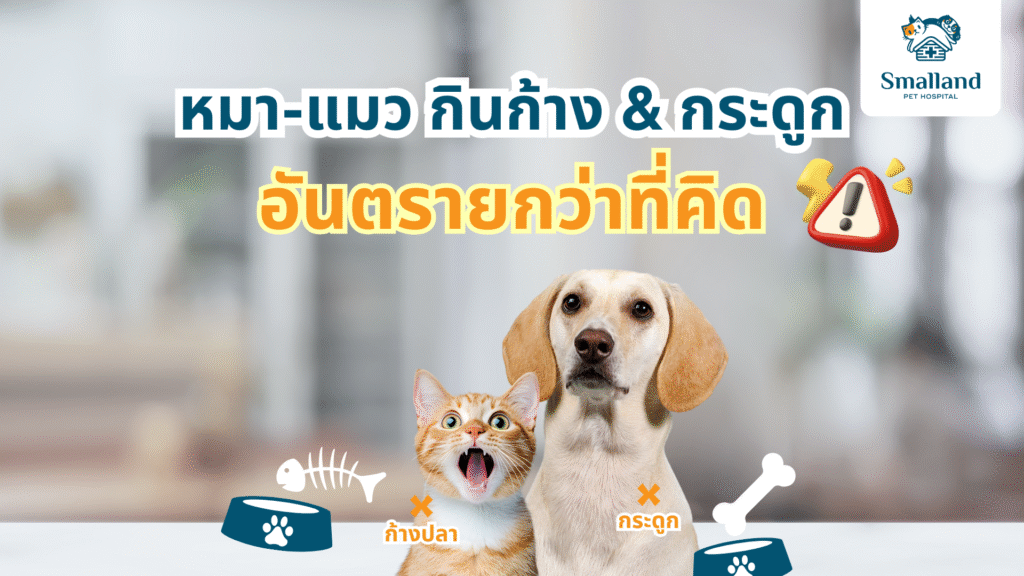 ก้างกระดูก