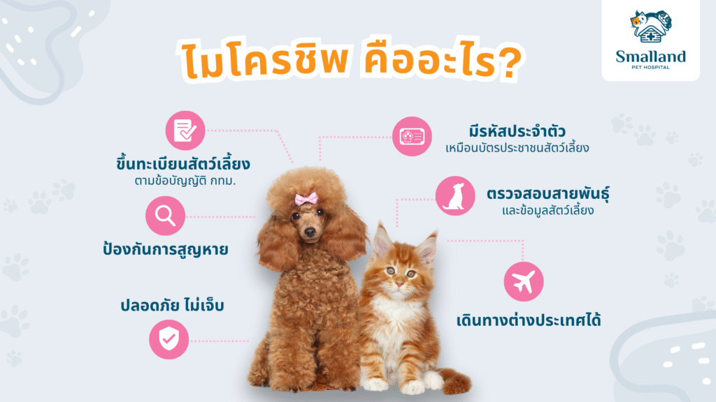 ไมโครชิพ คืออะไร